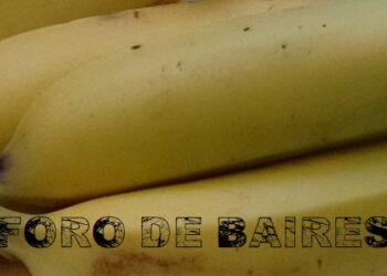 Las Bananas, esas frutas amigables que guardan su vigencia  a lo largo de las estaciones
