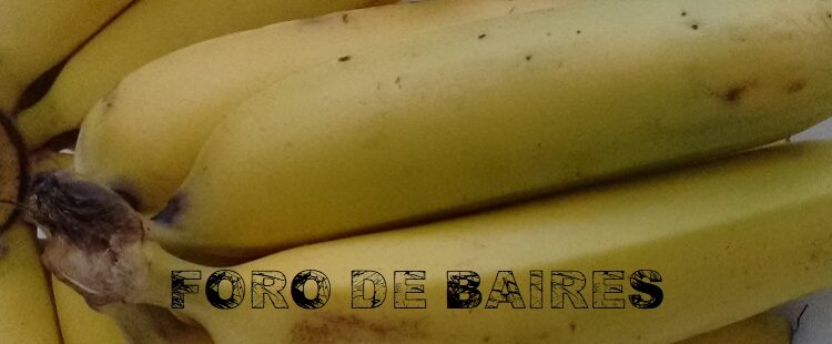 Las Bananas, esas frutas amigables que guardan su vigencia a lo largo de las estaciones