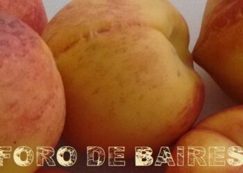 El poder del durazno y su natural exquisitez