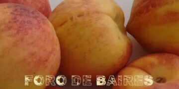 El poder del durazno y su natural exquisitez
