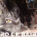El mural del gato y el ratón que luce en Bullrich y Libertador