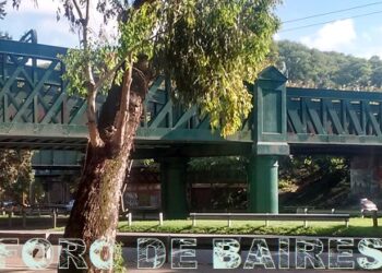 El Puente verde del bosque de Palermo