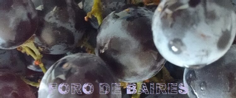 Las uvas, atributos y dulzura de una fruta sabrosa y saludable