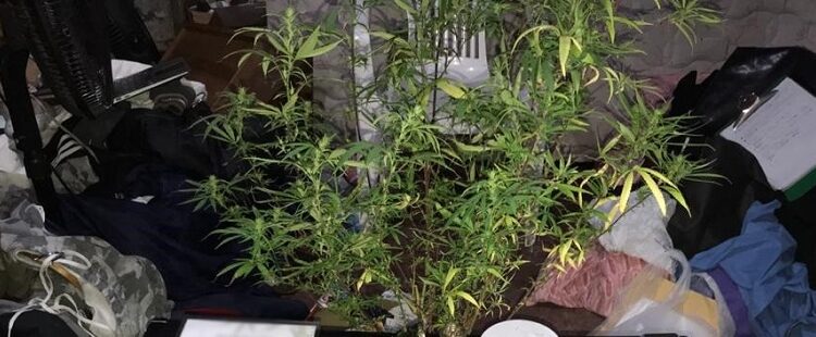 Tres detenidos en allanamiento por drogas en Boedo