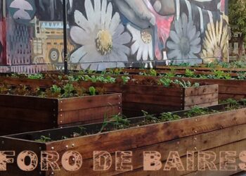 La Plazoleta Luna de Enfrente y su controvertida huerta urbana entre graffitis, zanahorias, lechugas y zapallos