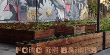 La Plazoleta Luna de Enfrente y su controvertida huerta urbana entre graffitis, zanahorias, lechugas y zapallos