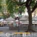 Plaza Julio Cortázar: «Crónica de una feria precoz para el barrio»