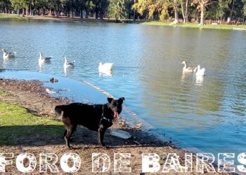 Un recorrido en Otoño por el Parque Tres de Febrero