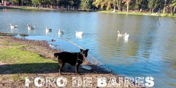 Un recorrido en Otoño por el Parque Tres de Febrero
