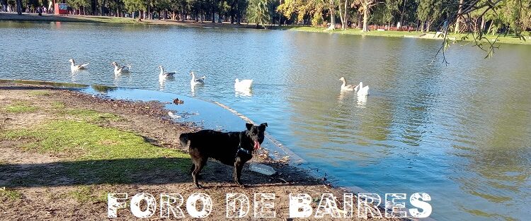 Un recorrido en Otoño por el Parque Tres de Febrero