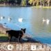 Un recorrido en Otoño por el Parque Tres de Febrero