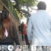 La amistad entre el hombre y la mujer