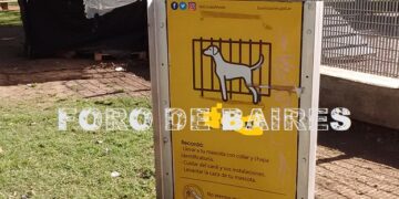 Hoy es el día internacional del perro sin raza