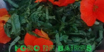 Ensalada tailandesa con flores comestibles