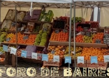 A través del programa “De la tierra a tu mesa” se pueden adquirir bolsones de frutas y verduras agroecológicas