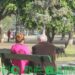 Saberse rodear y evolucionar