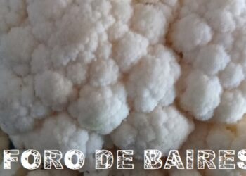 Las ventajas y virtudes de comer coliflor