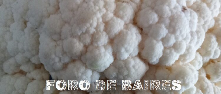 Las ventajas y virtudes de comer coliflor