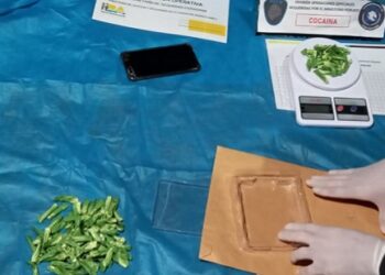 Cayó infraganti un dealer en Palermo con casi 200 dosis de cocaína