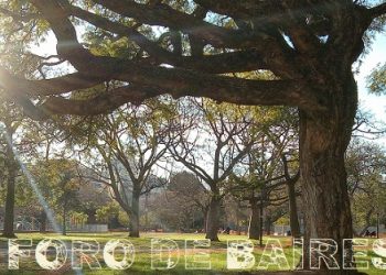 La Ciudad celebra el día del árbol con plantaciones y actividades de concientización