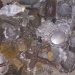 Cuatro detenidos por el robo de placas de bronce en el Cementerio de la Chacarita
