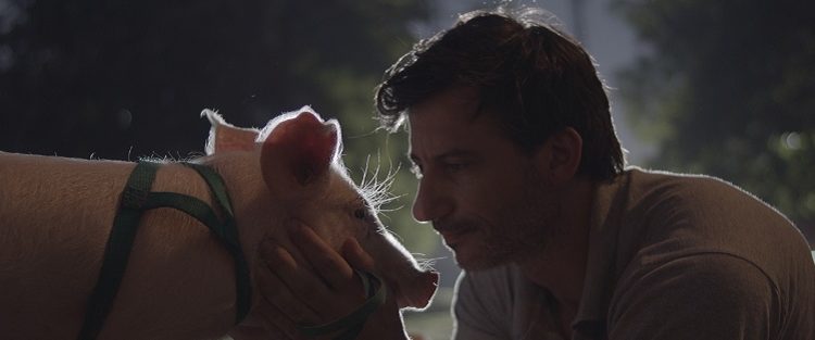 Los estrenos en Septiembre continúan en Construir TV