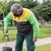 La Ciudad plantará arriba de 16 mil árboles durante 2021