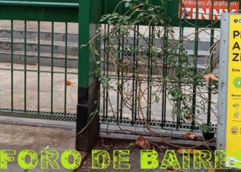 La Plazoleta Antonio Abraham Zinny, la pequeña esquina que luce como si fuera el patio de una vieja casa