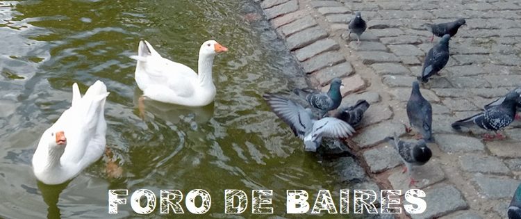 Los sonidos de la naturaleza en una plena mañana de primavera  en Parque Centenario
