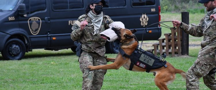 D’Alessandro encabezó acto por el tercer aniversario de la Sección K9 de la Policía de la Ciudad y homenaje a los perros de la guerra de Malvinas
