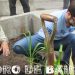 Se puso en valor la plazoleta Scholem Aleijem en el barrio de Almagro