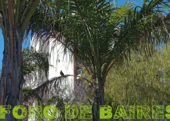 El complejo en Colegiales de Plaza Mafalda y Clemente con sus bares y alrededores
