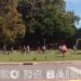 Pedaleando Buenos Aires por el circuito Cinco de Palermo