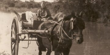 Mesa virtual «Co-construyendo caminos: hacia la reparación histórica de los pueblos indígenas»