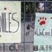 Los vecinos de Palermo exigen la Ley de Caniles