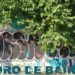 Los paredones graffiteados del Parque  Ferroviario guardan historias y secretos urbanos