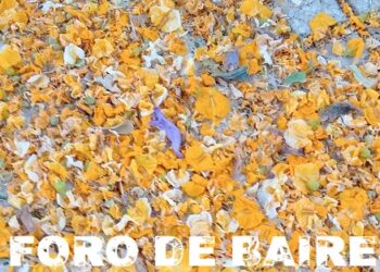La «Plaza Holanda» y el «Paseo Pita y Pedernera» muestran un espectáculo multicolor de amarillos y violetas