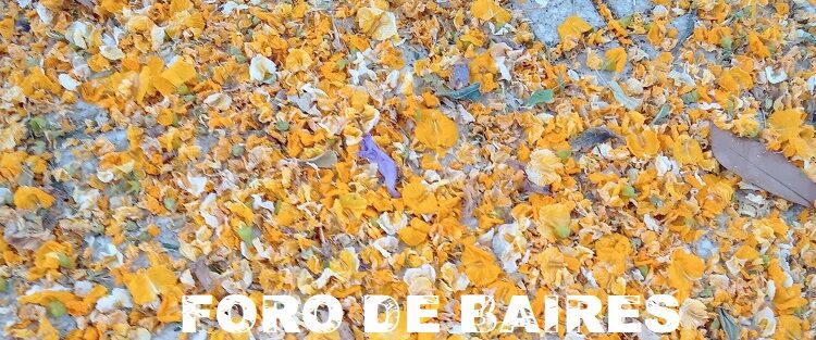 La «Plaza Holanda» y el «Paseo Pita y Pedernera» muestran un espectáculo multicolor de amarillos y violetas