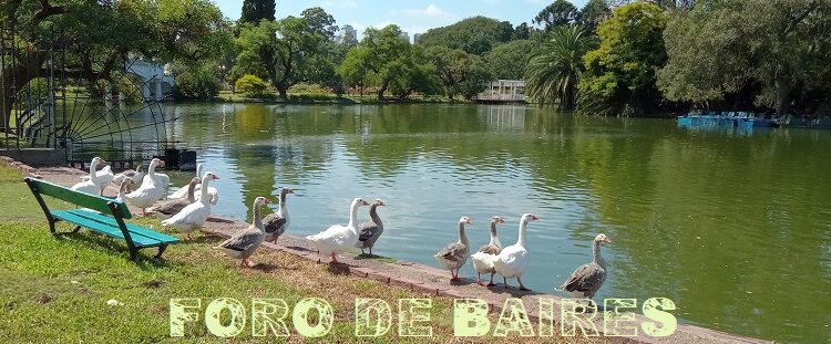 El día que los gansos saludaron al verano