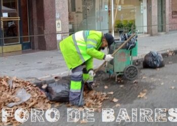 Cómo es el servicio de recolección en la Ciudad y en cuántos grupos se dividen los deshechos