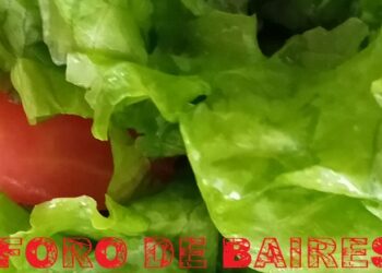 Cómo comer ensalada todos los días sin cansarnos