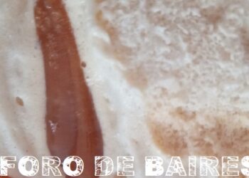 El Helado de Banana Split, una sinfonía de sabores en la boca