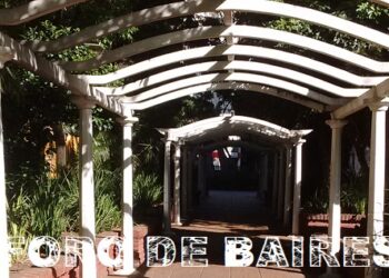 El Boulevard Charcas es tan fresco como apacible