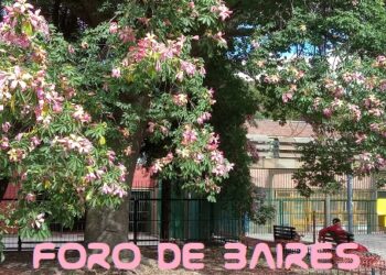 Palermo está bajo el manto rosa de los palos borrachos