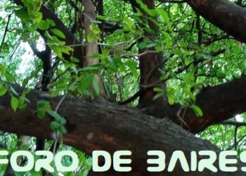 Reflexión sobre los tiempos que corren en el mundo