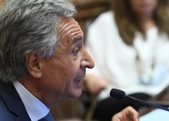 Basualdo: “El problema no es la deuda con el FMI sino el déficit”