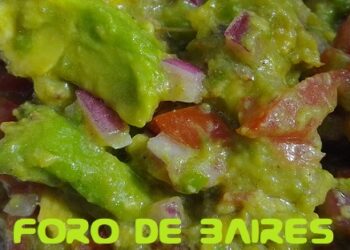 ¿Es lo mismo la palta que el guacamole?