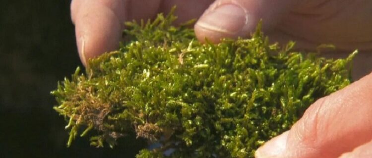 ¿Cómo se piensan los espacios de trabajo del futuro? Estas son las premisas de las nuevas tendencias que se avizoran