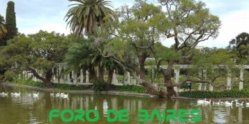 La naturaleza a pleno con los gansos en los Lagos de Palermo