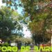 Este Viernes Santo, podrán disfrutar de un circuito imperdible en Colegiales